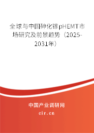 全球與中國砷化鎵pHEMT市場研究及前景趨勢(2025-2031年) 全球與中國砷化鎵pHEMT市場研究及前景趨勢(2025-2031年)