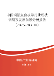 中國(guó)銅鋁復(fù)合板帶行業(yè)現(xiàn)狀調(diào)研及發(fā)展前景分析報(bào)告（2025-2031年）