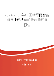 2024-2030年中國(guó)物聯(lián)網(wǎng)智能鎖行業(yè)現(xiàn)狀與前景趨勢(shì)預(yù)測(cè)報(bào)告