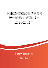 中國亞硝基硫酸市場研究分析與前景趨勢預測報告（2024-2030年）
