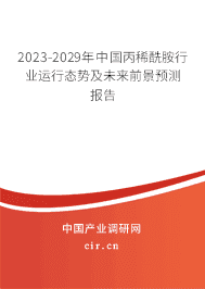 2023-2029年中國丙稀酰胺行業(yè)運行態(tài)勢及未來前景預(yù)測報告