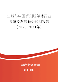 全球與中國光刻膠單體行業(yè)調(diào)研及發(fā)展趨勢預(yù)測報(bào)告（2025-2031年）
