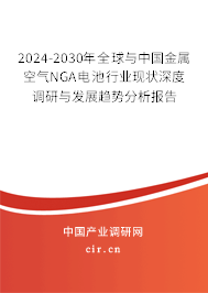 2024-2030年全球與中國(guó)金屬空氣NGA電池行業(yè)現(xiàn)狀深度調(diào)研與發(fā)展趨勢(shì)分析報(bào)告