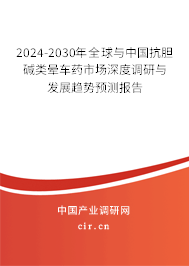 2024-2030年全球與中國抗膽堿類暈車藥市場深度調(diào)研與發(fā)展趨勢預測報告 2024-2030年全球與中國抗膽堿類暈車藥市場深度調(diào)研與發(fā)展趨勢預測報告