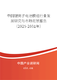 中國鋰離子電池模組行業(yè)發(fā)展研究與市場前景報告(2025-2031年) 中國鋰離子電池模組行業(yè)發(fā)展研究與市場前景報告(2025-2031年)
