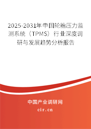 2025-2031年中國輪胎壓力監(jiān)測系統(tǒng)（TPMS）行業(yè)深度調(diào)研與發(fā)展趨勢分析報告