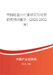中國能量計行業(yè)研究與前景趨勢預(yù)測報告（2025-2031年）