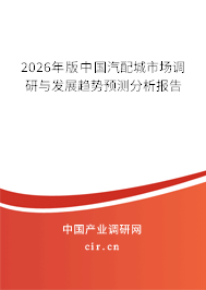 2026年版中國汽配城市場調(diào)研與發(fā)展趨勢預(yù)測分析報(bào)告