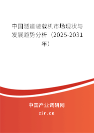 中國隧道裝載機市場現(xiàn)狀與發(fā)展趨勢分析（2025-2031年）