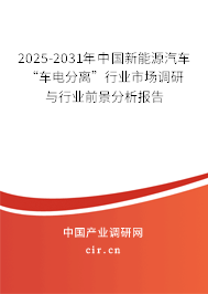 2025-2031年中國(guó)新能源汽車“車電分離”行業(yè)市場(chǎng)調(diào)研與行業(yè)前景分析報(bào)告
