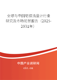 全球與中國皂膜流量計行業(yè)研究及市場前景報告（2025-2031年）