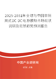 2025-2031年全球與中國非隔離式DC DC電源模塊市場現(xiàn)狀調(diào)研及前景趨勢預(yù)測報告