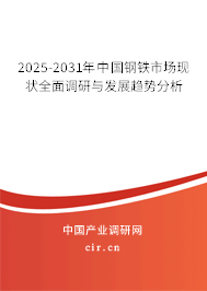 2025-2031年中國(guó)鋼鐵市場(chǎng)現(xiàn)狀全面調(diào)研與發(fā)展趨勢(shì)分析