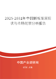 2025-2031年中國(guó)擱板發(fā)展現(xiàn)狀與市場(chǎng)前景分析報(bào)告