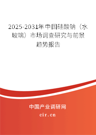 2025-2031年中國硅酸鈉(水玻璃)市場調(diào)查研究與前景趨勢報告 2025-2031年中國硅酸鈉(水玻璃)市場調(diào)查研究與前景趨勢報告