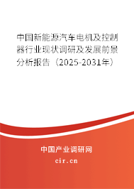 中國新能源汽車電機及控制器行業(yè)現(xiàn)狀調(diào)研及發(fā)展前景分析報告（2025-2031年）