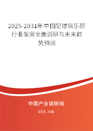 2025-2031年中國足球俱樂部行業(yè)發(fā)展全面調(diào)研與未來趨勢預測