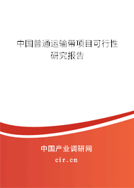 中國普通運(yùn)輸帶項(xiàng)目可行性研究報告 中國普通運(yùn)輸帶項(xiàng)目可行性研究報告