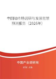 中國鉑市場調(diào)研與發(fā)展前景預(yù)測報告（2026年）