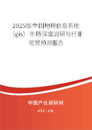 2025版中國地理信息系統(tǒng)（gis）市場深度調(diào)研與行業(yè)前景預測報告