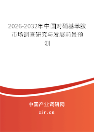 2026-2032年中國對硝基苯胺市場調(diào)查研究與發(fā)展前景預測