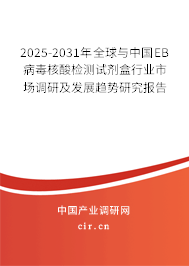 2025-2031年全球與中國EB病毒核酸檢測試劑盒行業(yè)市場調研及發(fā)展趨勢研究報告