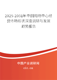 2025-2031年中國購物中心經(jīng)營市場現(xiàn)狀深度調(diào)研與發(fā)展趨勢報告