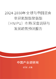 2024-2030年全球與中國混合非異氰酸酯聚氨酯（HNIPU）市場深度調(diào)研與發(fā)展趨勢預(yù)測報告
