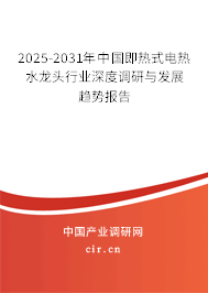 2025-2031年中國即熱式電熱水龍頭行業(yè)深度調(diào)研與發(fā)展趨勢報告