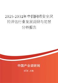 2025-2031年中國(guó)網(wǎng)絡(luò)安全風(fēng)險(xiǎn)評(píng)估行業(yè)發(fā)展調(diào)研與前景分析報(bào)告