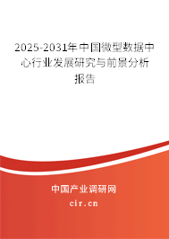 2025-2031年中國微型數(shù)據(jù)中心行業(yè)發(fā)展研究與前景分析報告