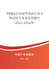 中國自動駕駛傳感器芯片市場調(diào)研與發(fā)展前景報告（2025-2031年）