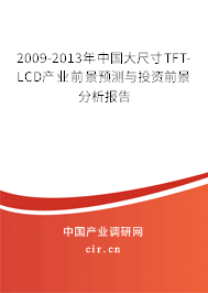 2009-2013年中國大尺寸TFT-LCD產(chǎn)業(yè)前景預測與投資前景分析報告