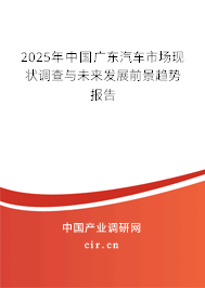 2025年中國廣東汽車市場現狀調查與未來發(fā)展前景趨勢報告 2025年中國廣東汽車市場現狀調查與未來發(fā)展前景趨勢報告