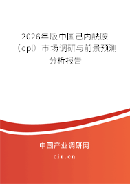 2026年版中國己內(nèi)酰胺（cpl）市場調(diào)研與前景預測分析報告