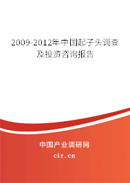 2009-2012年中國(guó)起子頭調(diào)查及投資咨詢報(bào)告