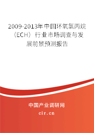 2009-2013年中國環(huán)氧氯丙烷(ECH)行業(yè)市場調(diào)查與發(fā)展前景預(yù)測報告 2009-2013年中國環(huán)氧氯丙烷(ECH)行業(yè)市場調(diào)查與發(fā)展前景預(yù)測報告