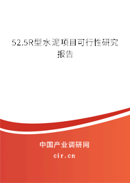 52.5R型水泥項目可行性研究報告 52.5R型水泥項目可行性研究報告