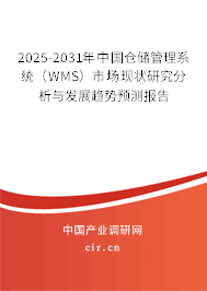 2025-2031年中國倉儲管理系統(tǒng)（WMS）市場現(xiàn)狀研究分析與發(fā)展趨勢預(yù)測報告