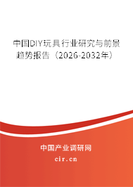 中國DIY玩具行業(yè)研究與前景趨勢報告（2026-2032年）