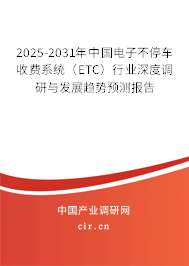 2025-2031年中國電子不停車收費系統(tǒng)（ETC）行業(yè)深度調(diào)研與發(fā)展趨勢預(yù)測報告