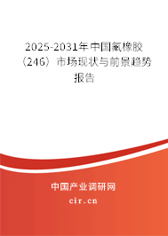 2025-2031年中國氟橡膠（246）市場現(xiàn)狀與前景趨勢報告
