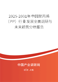 2025-2031年中國聚丙烯(PP)行業(yè)發(fā)展全面調研與未來趨勢分析報告 2025-2031年中國聚丙烯(PP)行業(yè)發(fā)展全面調研與未來趨勢分析報告