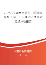 2025-2031年全球與中國硫氰酸胍(GTC)行業(yè)調(diào)研及發(fā)展前景分析報告 2025-2031年全球與中國硫氰酸胍(GTC)行業(yè)調(diào)研及發(fā)展前景分析報告