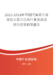 2025-2031年中國汽車算力發(fā)展及大算力芯片行業(yè)發(fā)展調(diào)研與前景趨勢報(bào)告