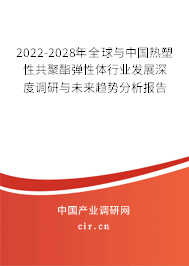 2022-2028年全球與中國熱塑性共聚酯彈性體行業(yè)發(fā)展深度調研與未來趨勢分析報告