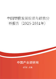 中國(guó)塑模發(fā)展現(xiàn)狀與趨勢(shì)分析報(bào)告(2025-2031年) 中國(guó)塑模發(fā)展現(xiàn)狀與趨勢(shì)分析報(bào)告(2025-2031年)