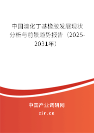 中國溴化丁基橡膠發(fā)展現(xiàn)狀分析與前景趨勢報(bào)告（2025-2031年）