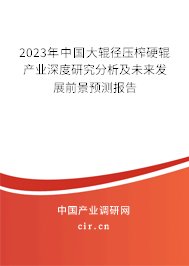 2023年中國大輥徑壓榨硬輥產業(yè)深度研究分析及未來發(fā)展前景預測報告
