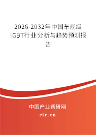 2026-2032年中國車規(guī)級(jí)IGBT行業(yè)分析與趨勢預(yù)測報(bào)告